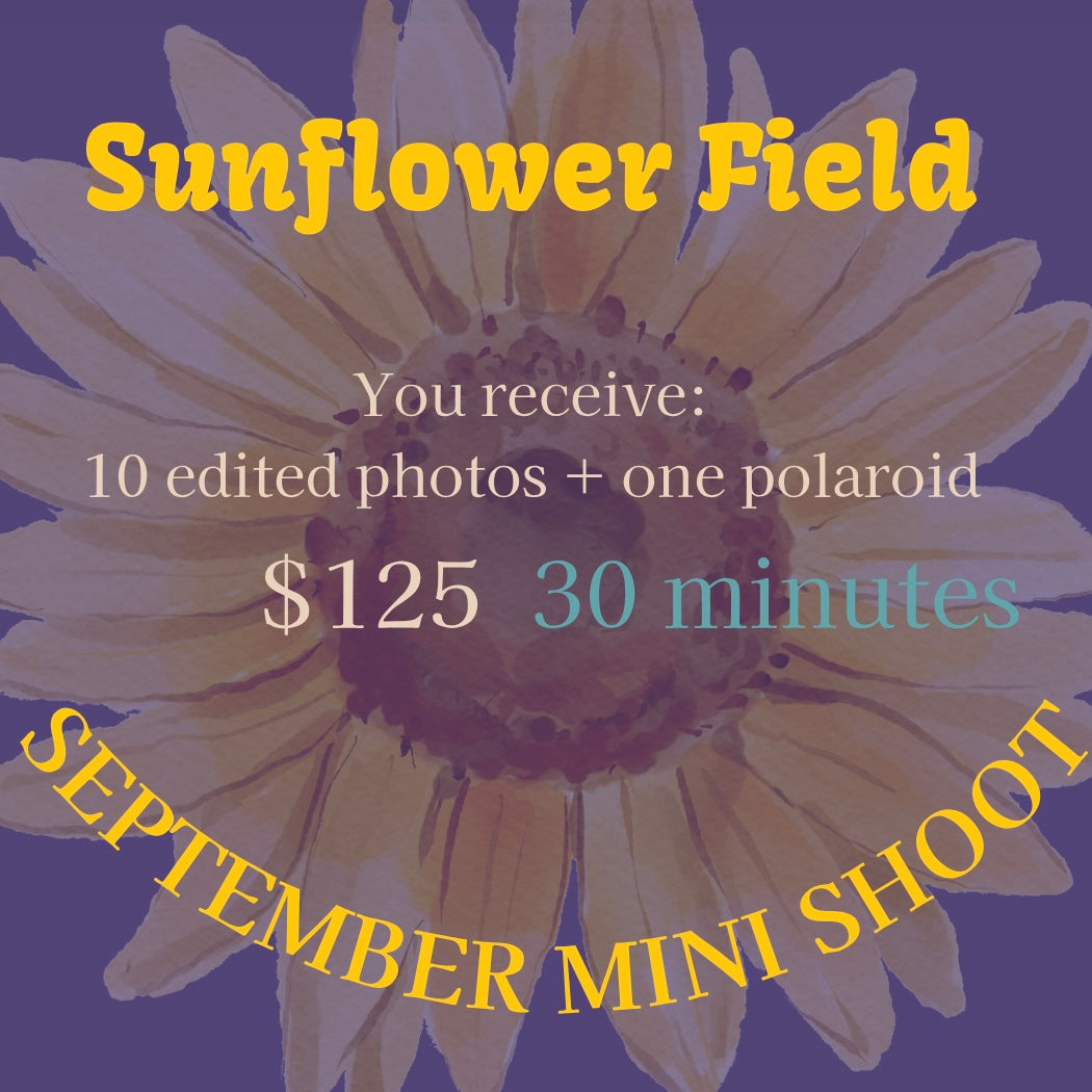 SEPTEMBER MINI SHOOT- SUNFLOWER PATCH